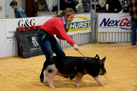 Ropes Show- Pigs